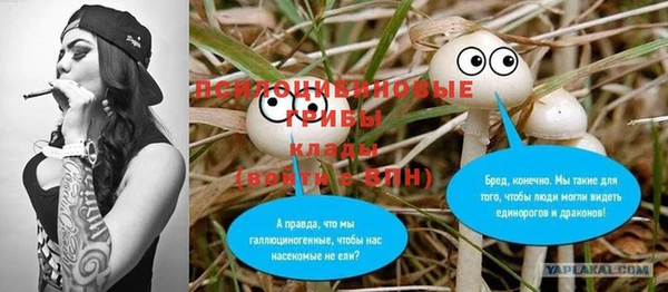 PSILOCYBIN Бородино